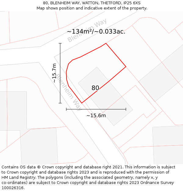 80, BLENHEIM WAY, WATTON, THETFORD, IP25 6XS: Plot and title map