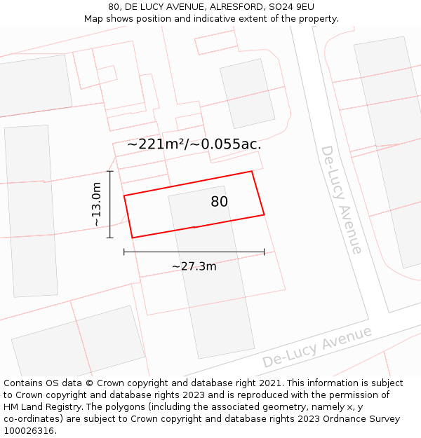 80, DE LUCY AVENUE, ALRESFORD, SO24 9EU: Plot and title map