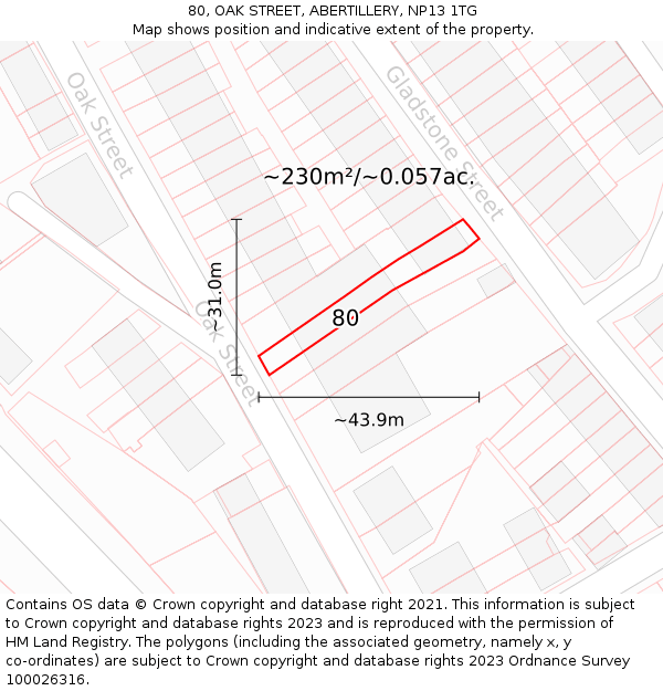 80, OAK STREET, ABERTILLERY, NP13 1TG: Plot and title map