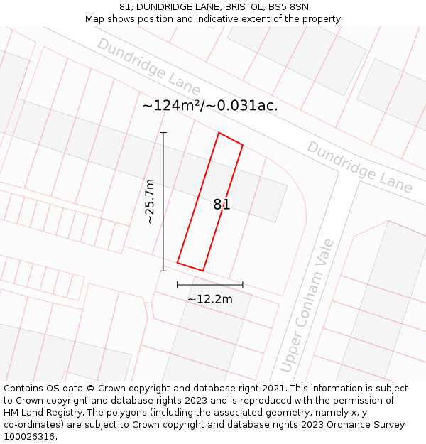 81, DUNDRIDGE LANE, BRISTOL, BS5 8SN: Plot and title map