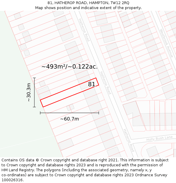 81, HATHEROP ROAD, HAMPTON, TW12 2RQ: Plot and title map