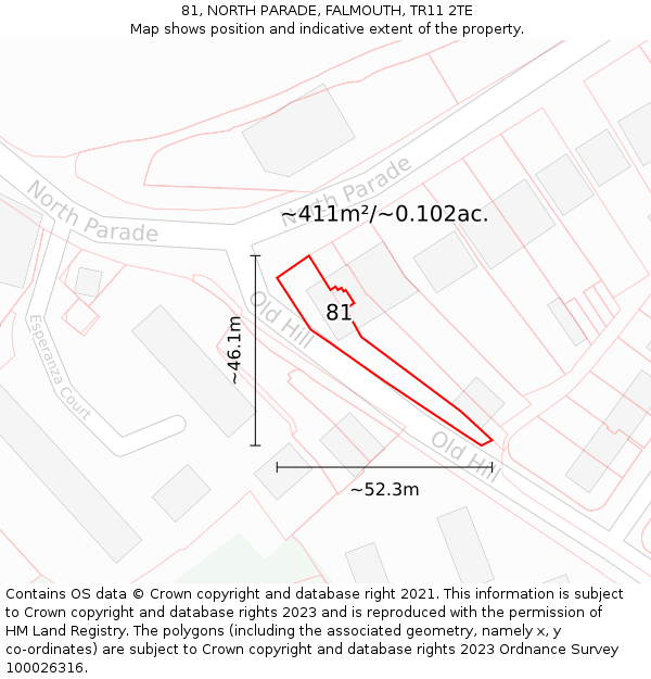 81, NORTH PARADE, FALMOUTH, TR11 2TE: Plot and title map