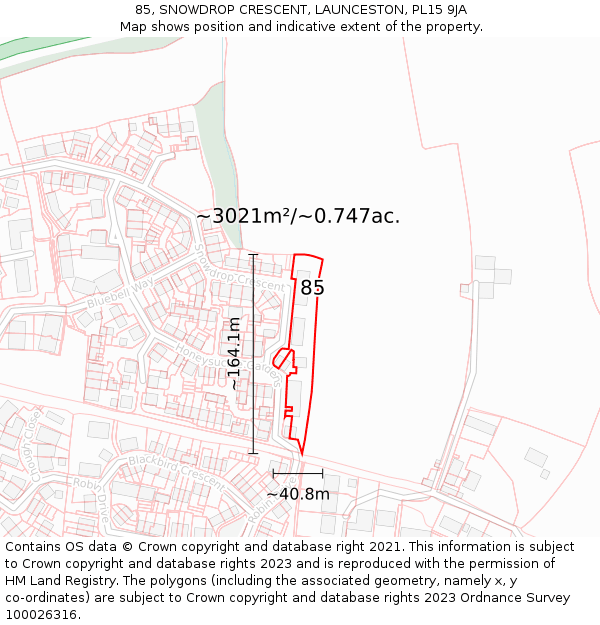 85, SNOWDROP CRESCENT, LAUNCESTON, PL15 9JA: Plot and title map