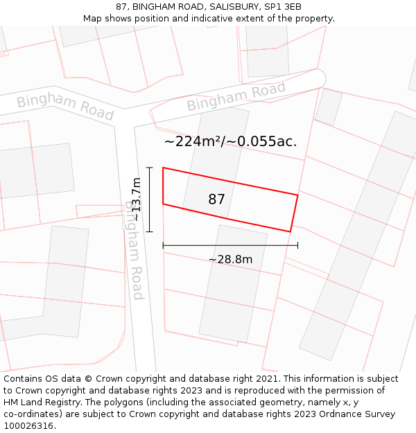 87, BINGHAM ROAD, SALISBURY, SP1 3EB: Plot and title map