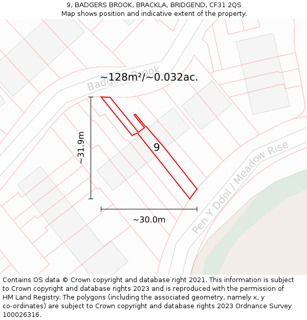 9, BADGERS BROOK, BRACKLA, BRIDGEND, CF31 2QS: Plot and title map
