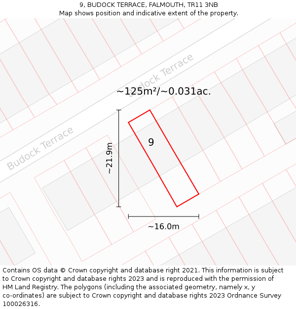9, BUDOCK TERRACE, FALMOUTH, TR11 3NB: Plot and title map