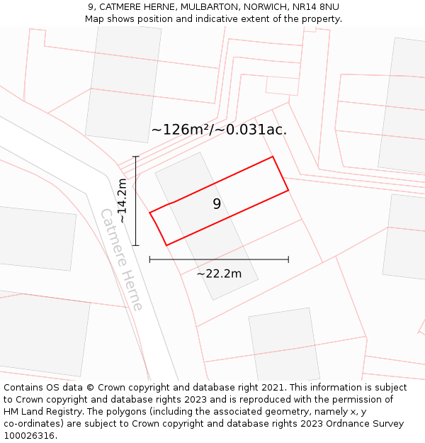 9, CATMERE HERNE, MULBARTON, NORWICH, NR14 8NU: Plot and title map