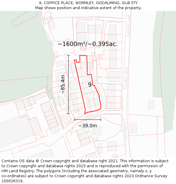 9, COPPICE PLACE, WORMLEY, GODALMING, GU8 5TY: Plot and title map