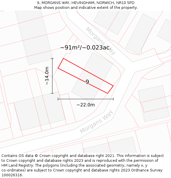 9, MORGANS WAY, HEVINGHAM, NORWICH, NR10 5PD: Plot and title map
