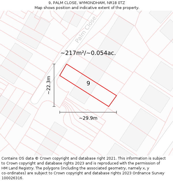 9, PALM CLOSE, WYMONDHAM, NR18 0TZ: Plot and title map