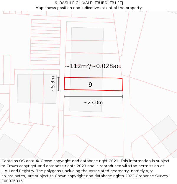 9, RASHLEIGH VALE, TRURO, TR1 1TJ: Plot and title map