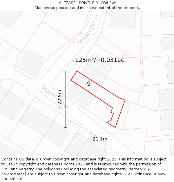 9, TEASEL DRIVE, ELY, CB6 3WJ: Plot and title map