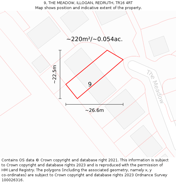 9, THE MEADOW, ILLOGAN, REDRUTH, TR16 4RT: Plot and title map