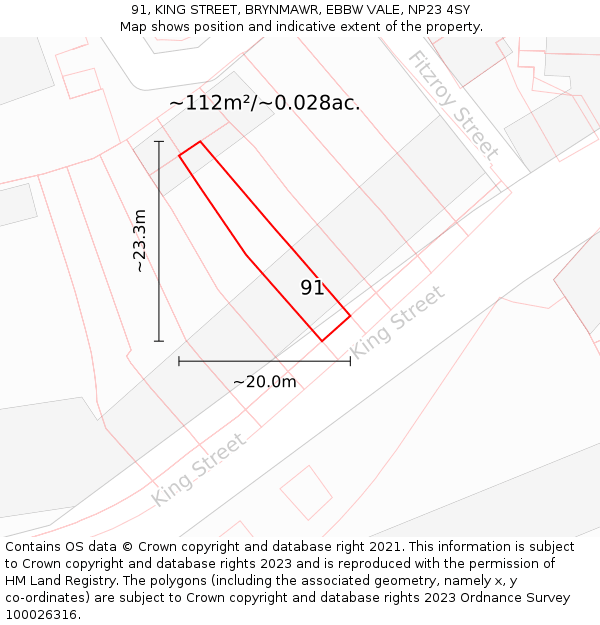 91, KING STREET, BRYNMAWR, EBBW VALE, NP23 4SY: Plot and title map