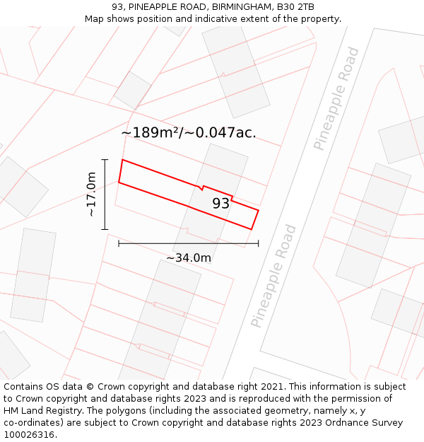 93, PINEAPPLE ROAD, BIRMINGHAM, B30 2TB: Plot and title map