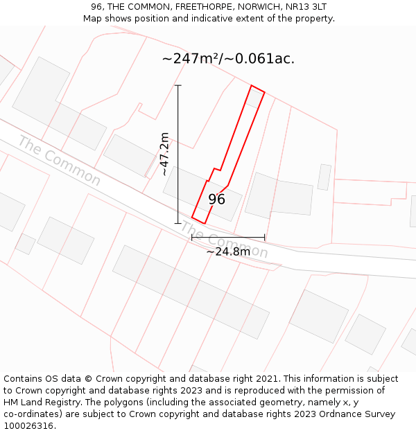 96, THE COMMON, FREETHORPE, NORWICH, NR13 3LT: Plot and title map