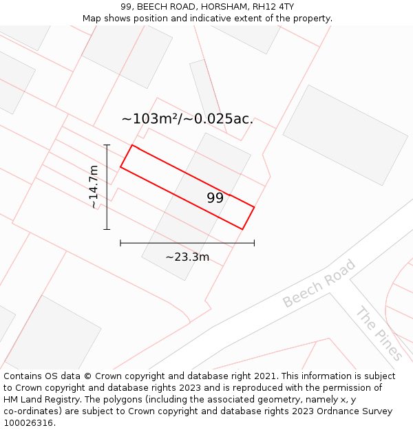 99, BEECH ROAD, HORSHAM, RH12 4TY: Plot and title map