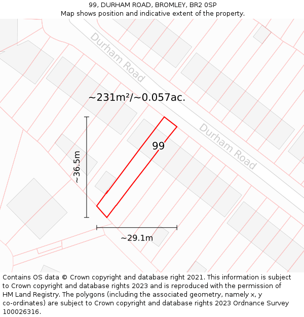 99, DURHAM ROAD, BROMLEY, BR2 0SP: Plot and title map