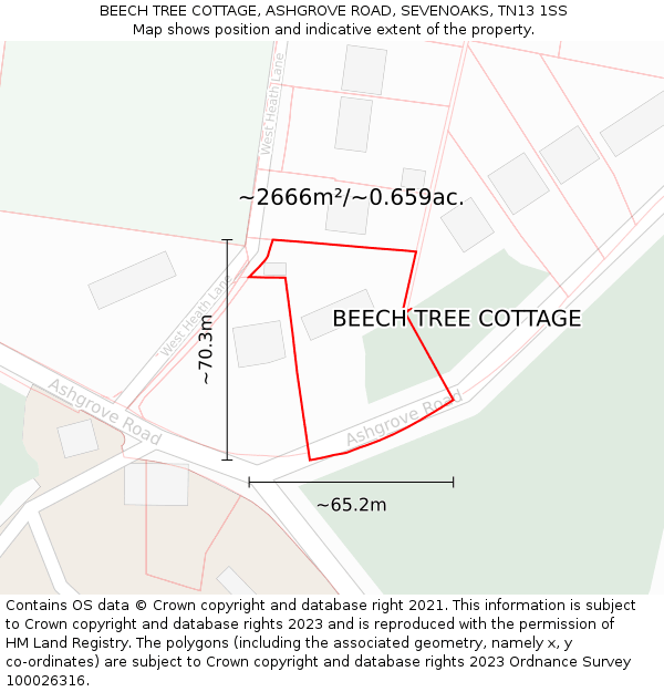 BEECH TREE COTTAGE, ASHGROVE ROAD, SEVENOAKS, TN13 1SS: Plot and title map