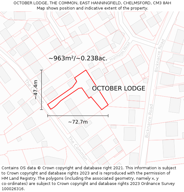 OCTOBER LODGE, THE COMMON, EAST HANNINGFIELD, CHELMSFORD, CM3 8AH: Plot and title map