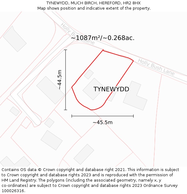 TYNEWYDD, MUCH BIRCH, HEREFORD, HR2 8HX: Plot and title map