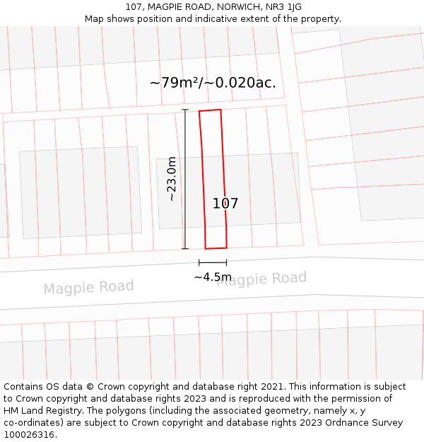 107, MAGPIE ROAD, NORWICH, NR3 1JG: Plot and title map