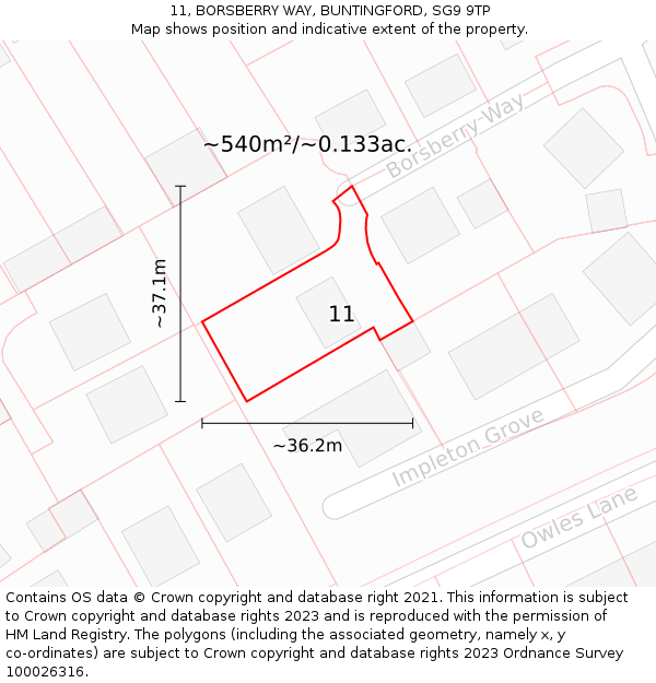 11, BORSBERRY WAY, BUNTINGFORD, SG9 9TP: Plot and title map