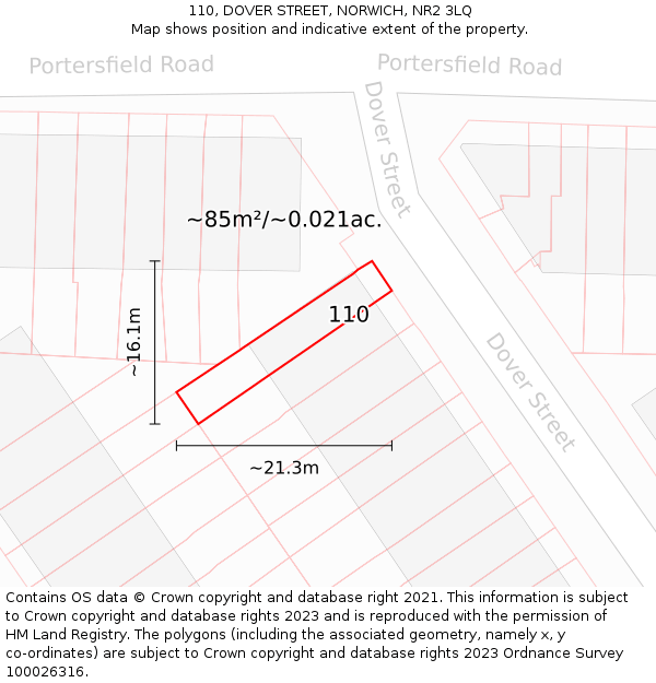 110, DOVER STREET, NORWICH, NR2 3LQ: Plot and title map
