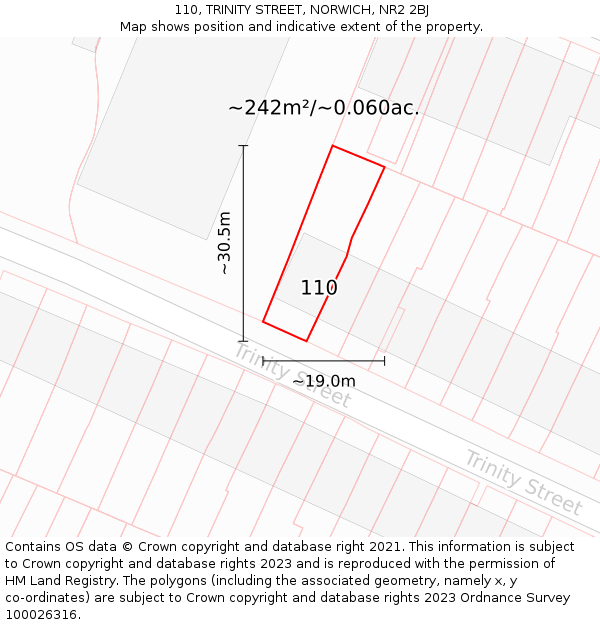110, TRINITY STREET, NORWICH, NR2 2BJ: Plot and title map