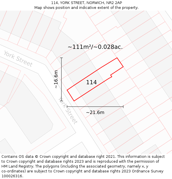 114, YORK STREET, NORWICH, NR2 2AP: Plot and title map