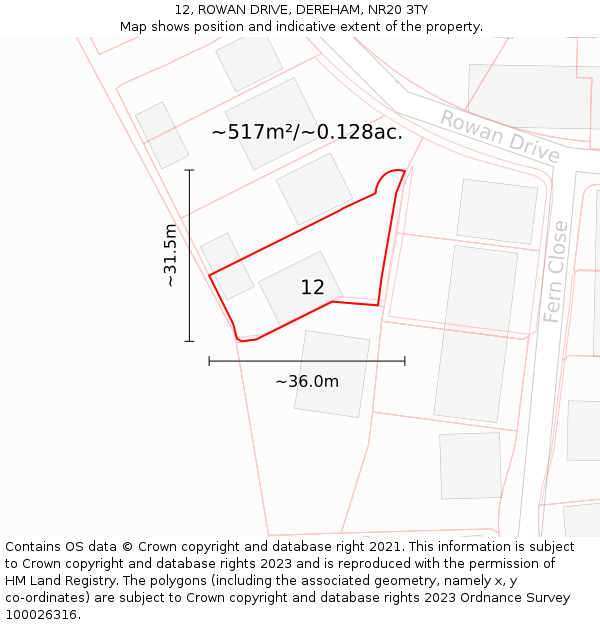 12, ROWAN DRIVE, DEREHAM, NR20 3TY: Plot and title map