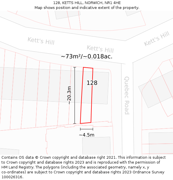 128, KETTS HILL, NORWICH, NR1 4HE: Plot and title map