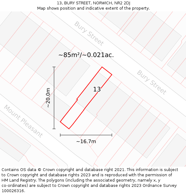 13, BURY STREET, NORWICH, NR2 2DJ: Plot and title map