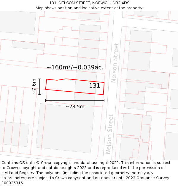 131, NELSON STREET, NORWICH, NR2 4DS: Plot and title map