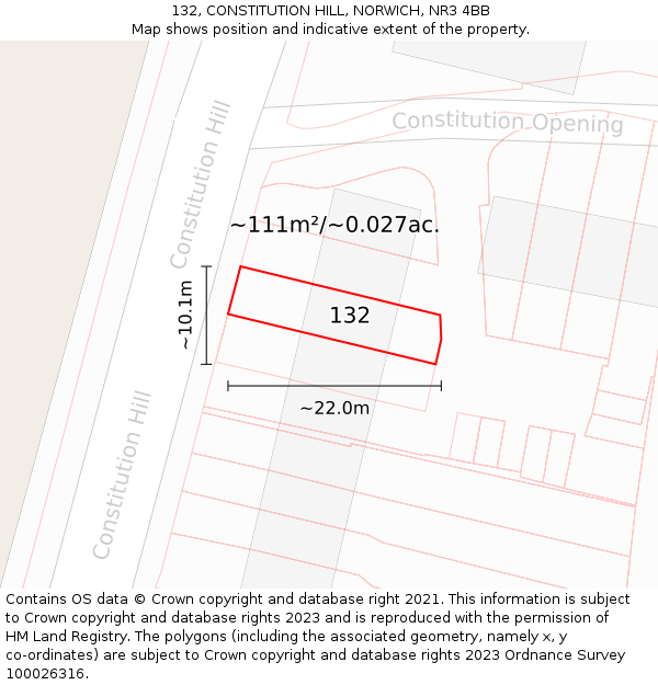 132, CONSTITUTION HILL, NORWICH, NR3 4BB: Plot and title map