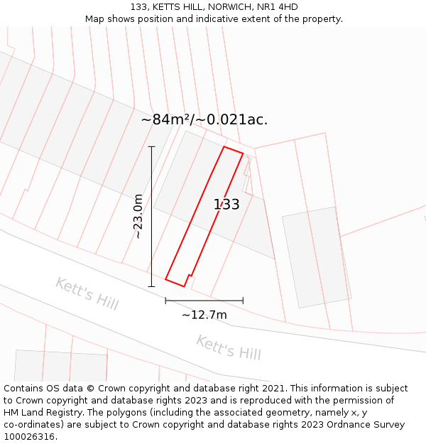 133, KETTS HILL, NORWICH, NR1 4HD: Plot and title map