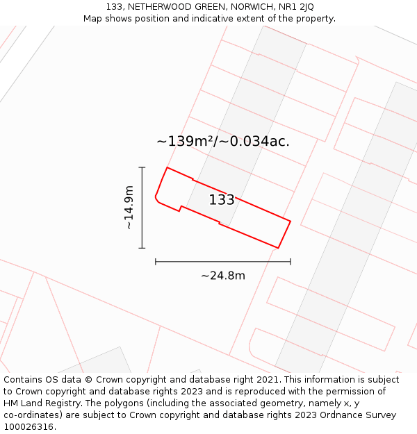 133, NETHERWOOD GREEN, NORWICH, NR1 2JQ: Plot and title map