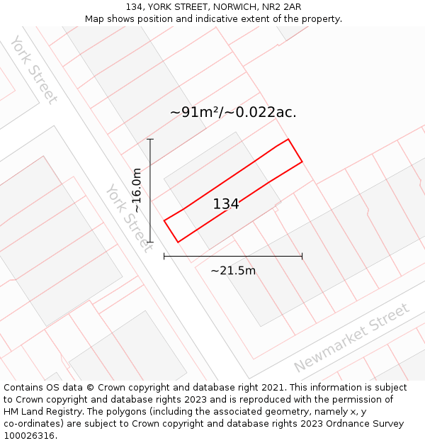 134, YORK STREET, NORWICH, NR2 2AR: Plot and title map