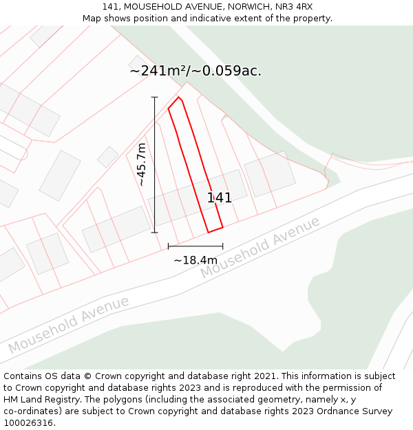 141, MOUSEHOLD AVENUE, NORWICH, NR3 4RX: Plot and title map