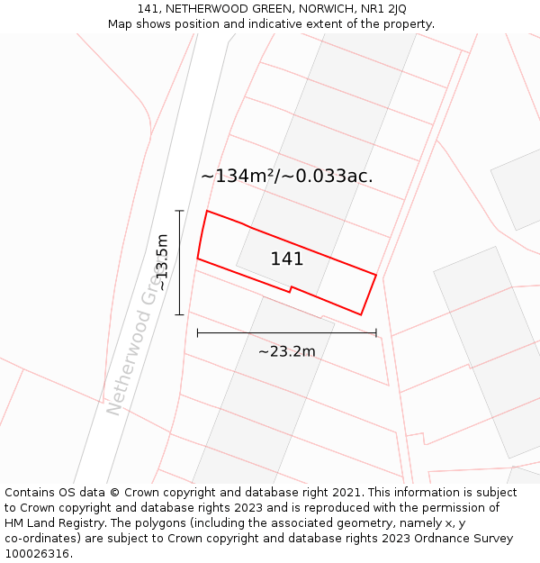 141, NETHERWOOD GREEN, NORWICH, NR1 2JQ: Plot and title map
