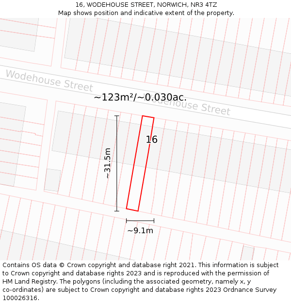 16, WODEHOUSE STREET, NORWICH, NR3 4TZ: Plot and title map