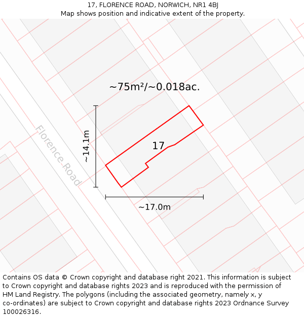 17, FLORENCE ROAD, NORWICH, NR1 4BJ: Plot and title map