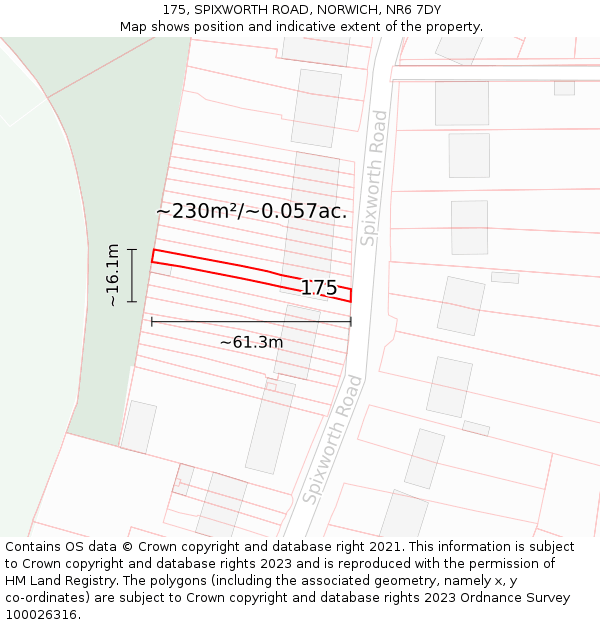 175, SPIXWORTH ROAD, NORWICH, NR6 7DY: Plot and title map