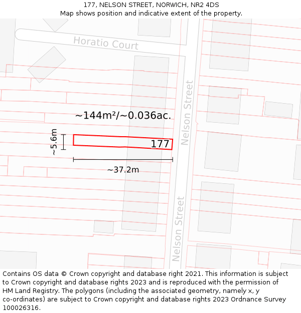 177, NELSON STREET, NORWICH, NR2 4DS: Plot and title map