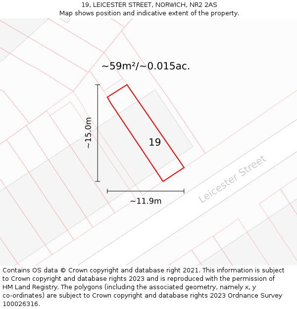 19, LEICESTER STREET, NORWICH, NR2 2AS: Plot and title map