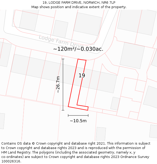 19, LODGE FARM DRIVE, NORWICH, NR6 7LP: Plot and title map