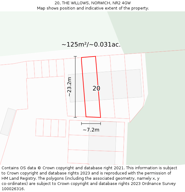 20, THE WILLOWS, NORWICH, NR2 4GW: Plot and title map