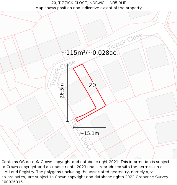 20, TIZZICK CLOSE, NORWICH, NR5 9HB: Plot and title map