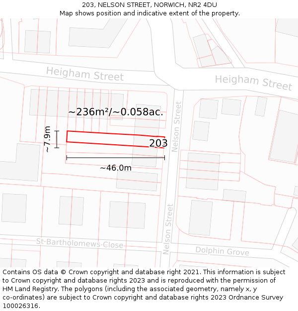 203, NELSON STREET, NORWICH, NR2 4DU: Plot and title map