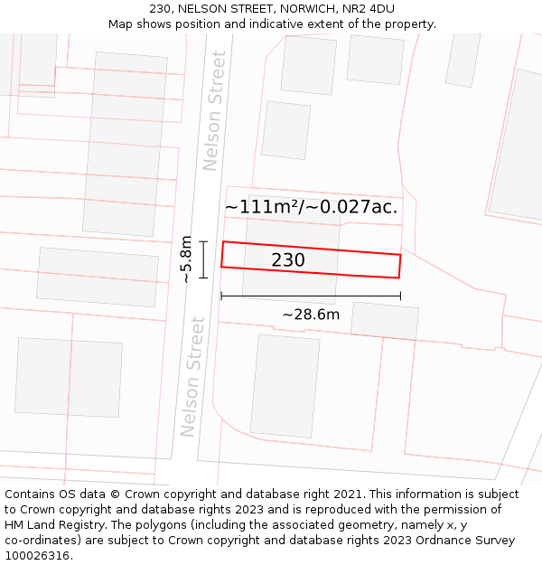 230, NELSON STREET, NORWICH, NR2 4DU: Plot and title map